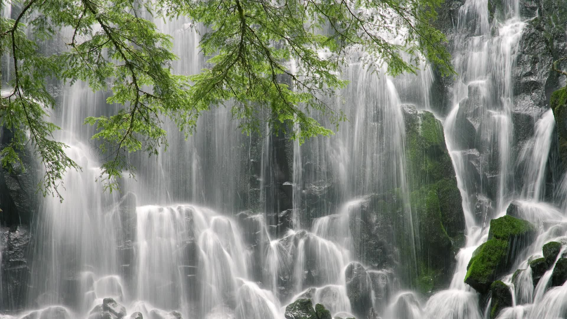 世界游泳接力技术统计平台赛事数据解读直播预告,世界游泳锦标赛接力决赛