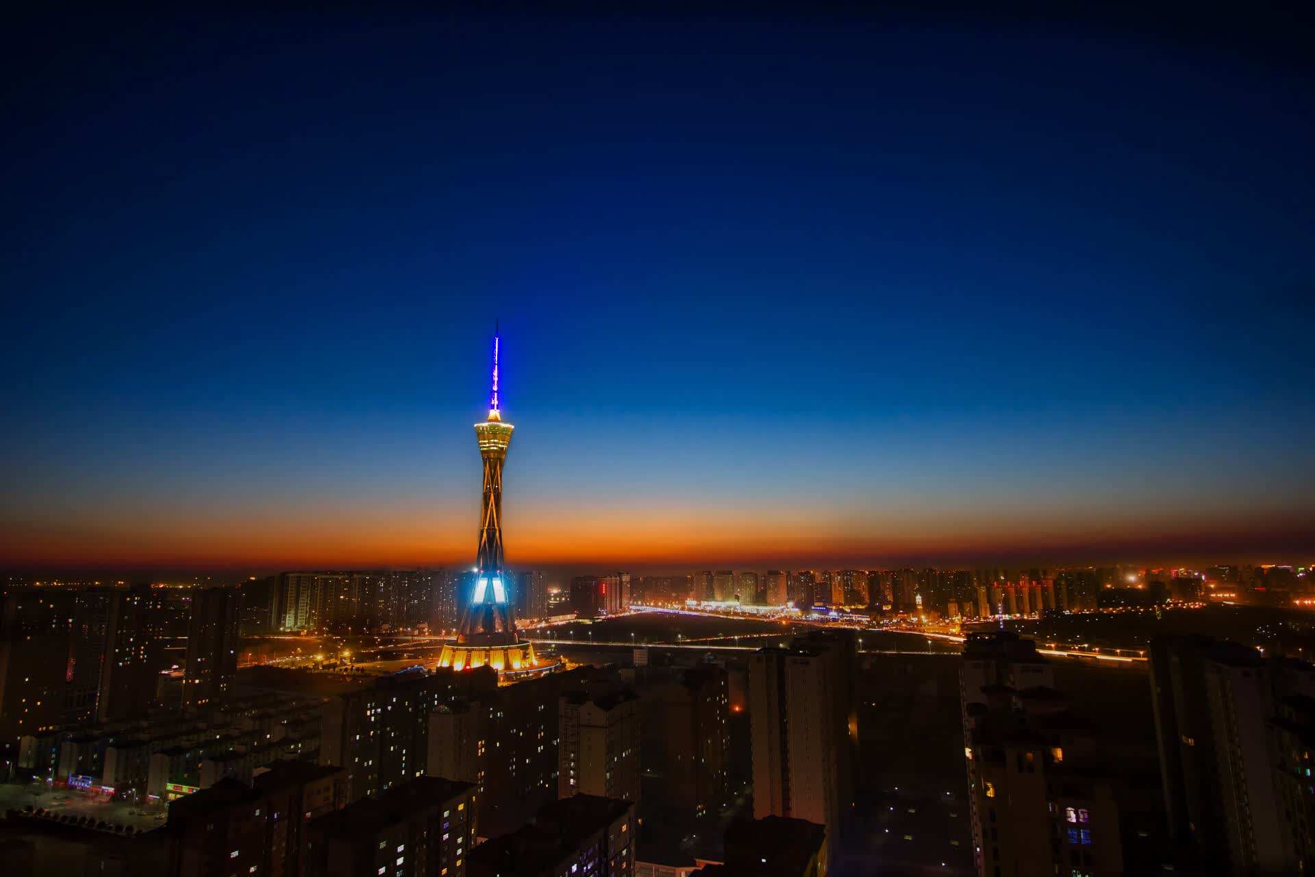 世界游泳裁判评分透明化平台:数据公开与申诉流程,游泳裁判员查询官网